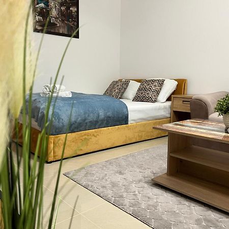 Ndl Downtown Apartment Cluj-Napoca Exterior photo
